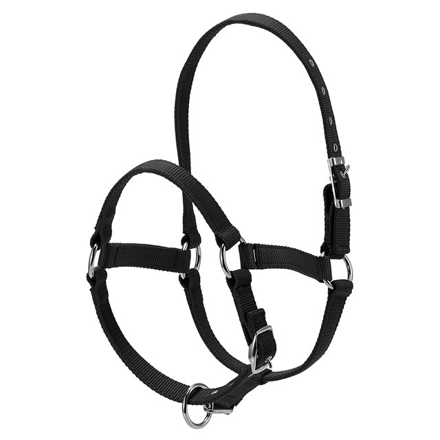 Amdohai Collier de Tête de Cheval Épaissi 6MM Réglable Sécurité Licou Bride