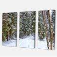 thumbnail image 2 of Designart Snowy Road in the Forest Canvas Wall Art, 2 of 4