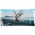 thumbnail image 1 of <p>Fish  Background Poster, Attractive Waterproof Aquarium Background Decor Sky Withered Tree  For Aquarium</p>, 1 of 7