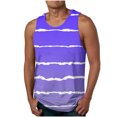 thumbnail image 1 of IROINID Hommes Chemises Sans Manches, Hommes Occasionnels Mode Gradation Stripe Impression Pull Col Rond Débardeurs de Sport, 1 of 4