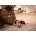thumbnail image 2 of Multipet Pom Pom Cat Toy, Assorted Colors, 2 of 8