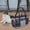 Grey, variant on Small Pet Carrier Bag Airline Approved Travel Purse Ventilated Soft Mesh Cat Carrier for Kittens Puppy, Lightweight Shoulder Tote for Hiking Shopping