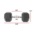 thumbnail image 2 of Haltère hexagonale enduite CAP Barbell, Single 3 - 100 lb, 2 of 6