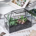 thumbnail image 4 of NCYP Glass Terrarium Planter with lid, Grid House Shape Geometric Pot for Plants, 4 of 6