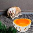 thumbnail image 3 of fastboy Non Slip Rabbit Feeder Bowl Feeding Basin for Hedgehog Gerbils Puppy Kitten 11cmx4.5cm Triangle, 3 of 9