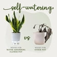 thumbnail image 4 of Self Watering Pots, Pot for Indoor Plants,Automatic Water-Absorbing White M, 4 of 6