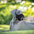 thumbnail image 2 of Coastal Pet Products Best Fit Muselière Confortable et Ajustable pour Chien Noir, 2 of 6