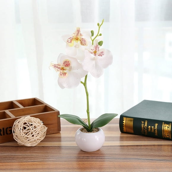 Bonsaï Orchidée d'Intérieur Bonsaï Fleurs Tranquilles avec Vase Fleurs d'Hiver Vaporisateur de Fleurs Fleurs Maman Fleurs Hortensia