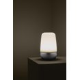thumbnail image 3 of Blomus 66064 130 lm Spirit Lampe DEL d'Extérieur, Grande, 3 of 4