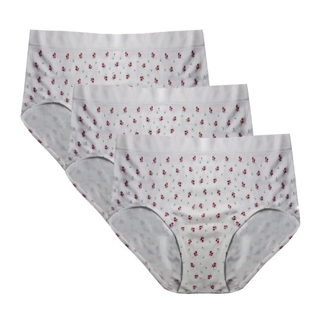 FEM Culottes pour FEMmes Sans Coutures, Culottes Couvrantes - Lot de 3