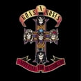 thumbnail image 2 of Guns N' Roses - Appetite For Destruction (Vinyl), 2 of 2