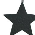 thumbnail image 3 of Park Designs Star Shower Curtain Hooks (Set of 12) Black, 3 of 4