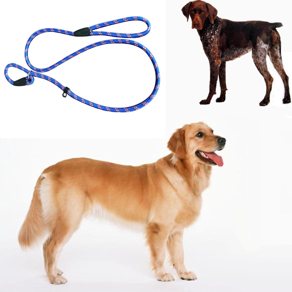 UsRHHA Dog Training Leash Slip Correction Lead, Nylon Millan Shoresu Whisperer Chain, Pet Walking Accessory