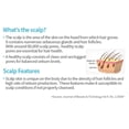 thumbnail image 3 of Atomy Scalpcare Hair Care Set (2pc) - Shampoo, Conditioner | Clease and revitalize, 3 of 3