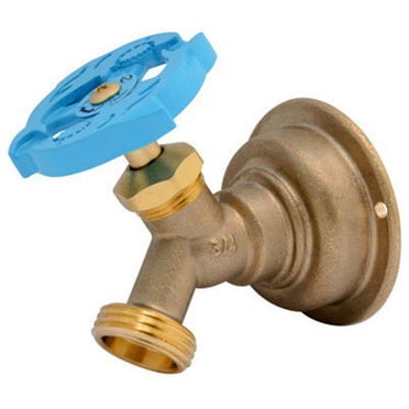 Sharkbite & Cash Acme 239573 Bavette Filetée pour Boyau à Embout Tournant - 0,75 x 0,75 Po