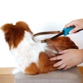 thumbnail image 4 of Stainless Steel Dual-Sided Pet Grooming Tool: 2-in-1 Shedding Comb for Long & Short Haired Dogs/Cats with Rounded Teeth for Fur Removal and Smooth Edge for Sweat/Water Scraping, Hanging Hole Handle, 4 of 5