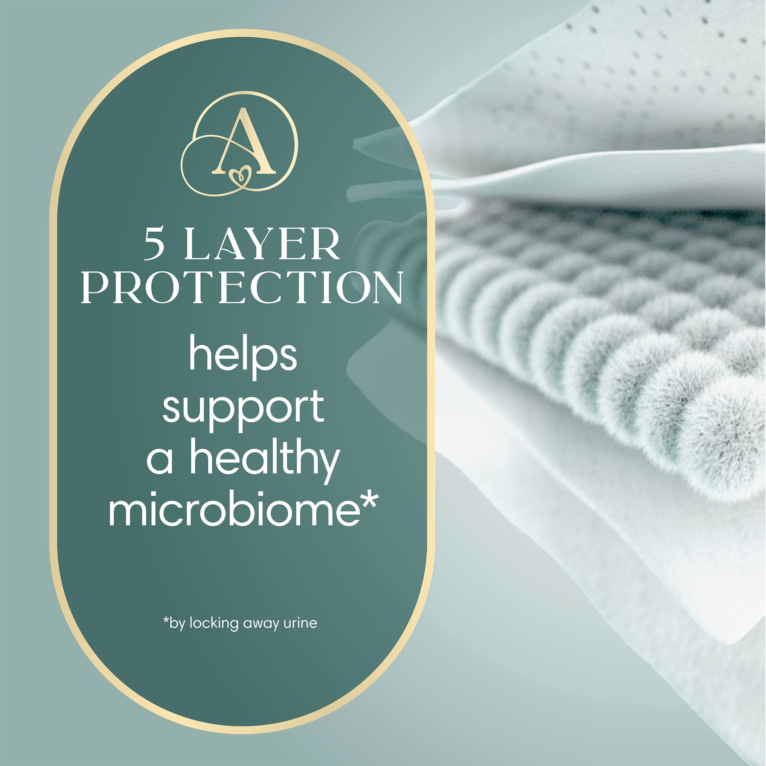 NOUVEAU Pampers AMORE, taille 2 (4,5 à 10 kg [10 à 22 lb]), notre meilleure couche, 186 unités