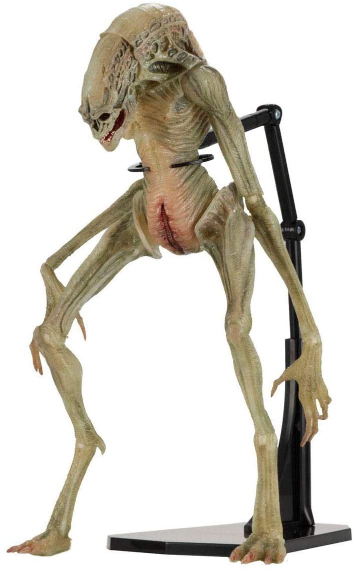 Aliens 7