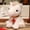 White, variant on Horse Figurine, EDHITNR Adorable Realistic Little Horse Doll, Soft Cuddly Plush Decorative Ornament Great Gift for KidsAdults, Red
