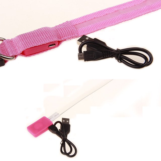Collier Lumineux Réglable pour Animaux de Compagnie Randonnée Rechargeable Animal Allumé Nuit Marche Animal Allumé Choker Portable Lavable Colliers Animaux de Compagnie Fournitures Cadeau Blanc S