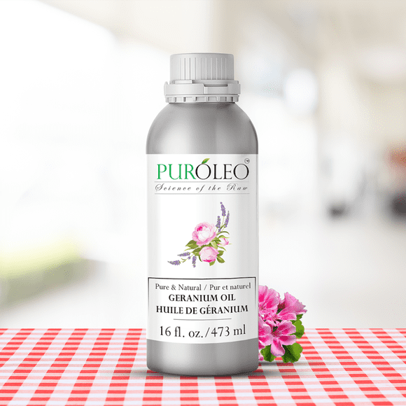 PUROLEO Geranium Essential Oil 16 Fl Oz/473 ML (Packed In Canada) 100% Pure, Natural and Undiluted Aromatherapy Oil for Skin Care and Relaxation - Soothing Floral Scent for Diffuser or Massage