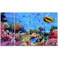 thumbnail image 2 of Coral Colony on Reef Egypt - Oversized Animal Wall Art, 2 of 3