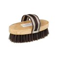 thumbnail image 1 of J.T. INTERNATIONAL 68-14-0-0 Horse Brush, 1 of 3