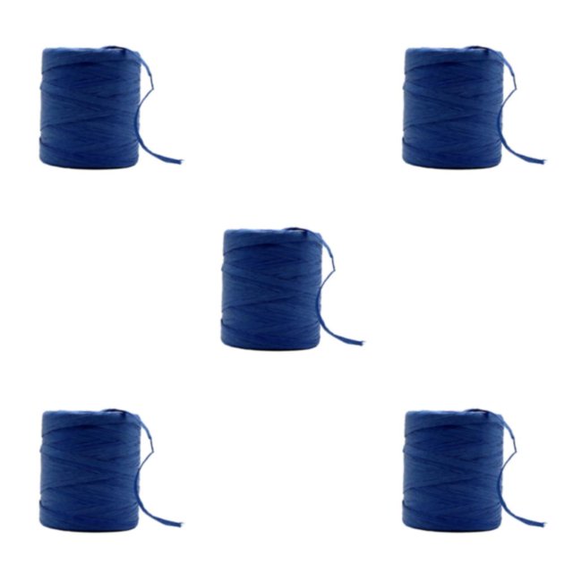 Decodeary Sturdy And Durable Raffia Rope Yarn For DIY Crafts Beautiful Colors Fiber Natural Paper Ribbon sapphire blue 5Set