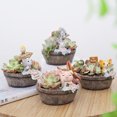 thumbnail image 4 of Résine Miniature de Style Rural Plantation Pot avec Mignon Dessin Animé Animal Succulent Pot de Fleurs Micro Décorations de Paysage, 4 of 7