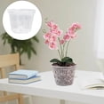 thumbnail image 4 of TIELUTT 5 Inch Phalaenopsis Planter Clear Orchid Planter Root Control with Hole Flower for Flower Girl Potted Live Outdoor Potted Live in Dark Small Flower Bulk Flower, 4 of 7