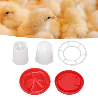 Mangeoire et Kit d'Arrosage pour Poussins, Design en Plastique Facile à Nettoyer pour Volaille