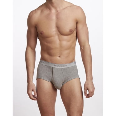 Stanfield's Men's 3 pack Premium 100% Cotton Brief Underwear