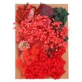 thumbnail image 1 of Unique Bargains Fleurs Séchées Naturelles Multiples Colorées Véritables Fleurs Pressées Séchées Plante Série Rouge, 1 of 5