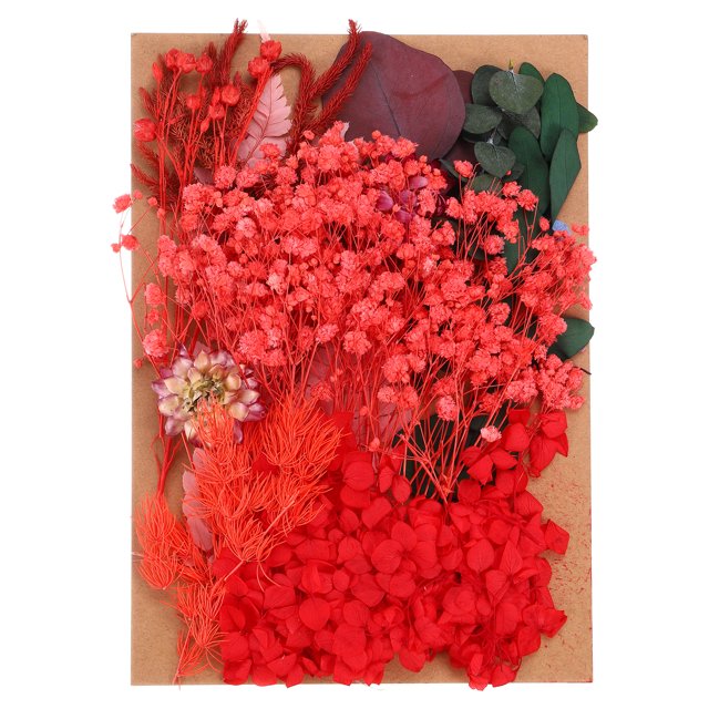 Unique Bargains Fleurs Séchées Naturelles dans une Série Multicolore d'Arrangements Rouges, Présentant des Fleurs et des Feuilles Pressées et Séchées sur un Présentoir Plat. Tons Rouges Vibrants avec accents Verts et Violets, Parfaites pour les Bricolages DIY comme les Signets, les Moules en Résine, les arrangements de Fleurs Artificielles et les Projets de Déco Maison.