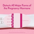 thumbnail image 3 of First Response Early Result - Pregnancy Test Kit - Analog (2 Count), 3 of 7