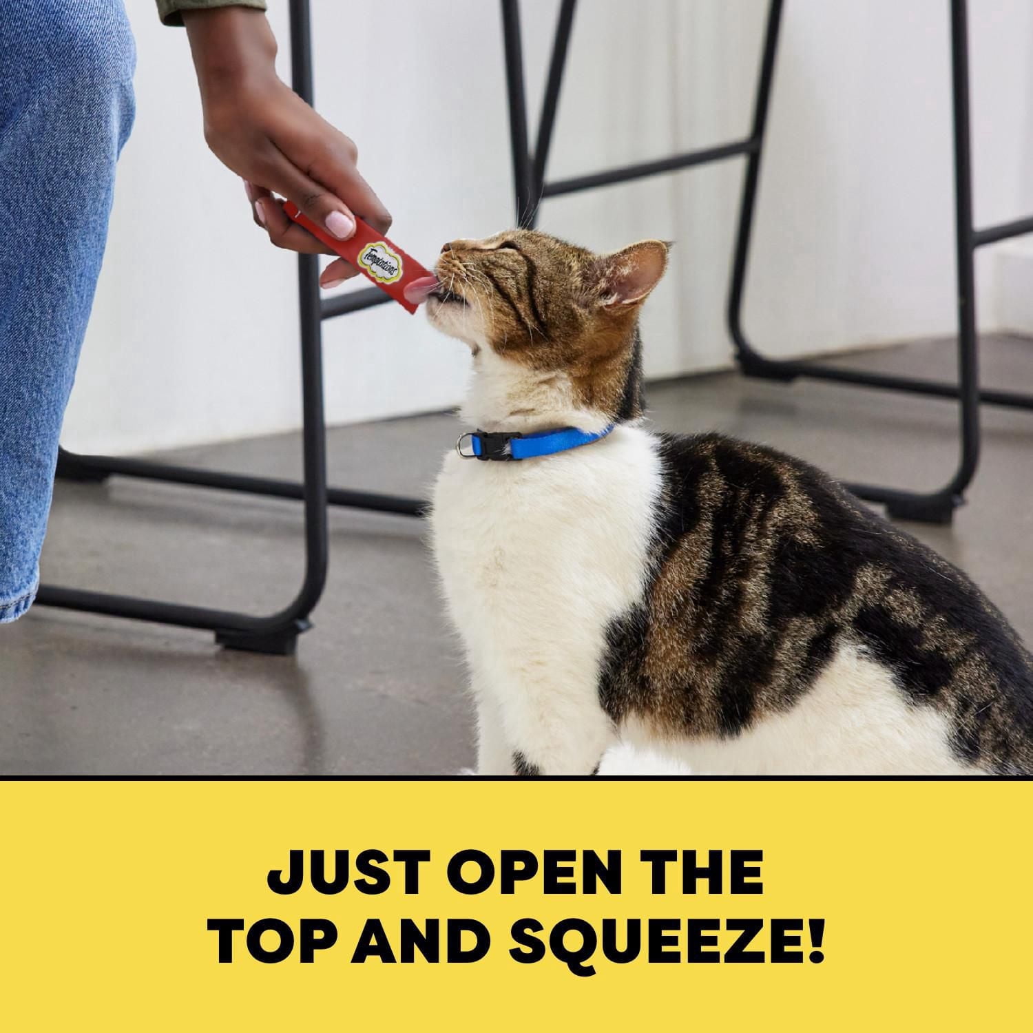 Temptations Purée Crémeuse Foie de Bœuf Gâteries à Lécher pour Chats Adultes 4 Sachets