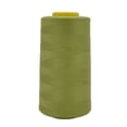 thumbnail image 1 of fastboy Fil à Coudre Multicolore Haute Vitesse pour Chemise/robe/jupe 4000 Yards Fil Polyester, 1 of 9