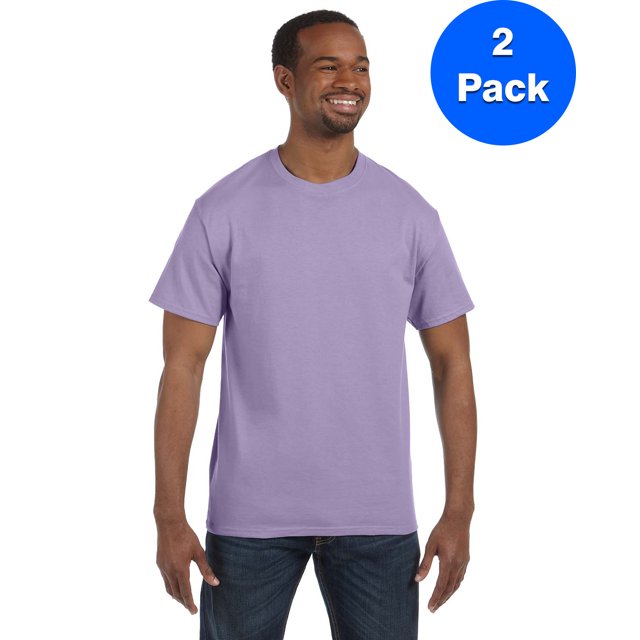 Hanes Men's Authentic-T T-Shirt - 5250T (Pack of 2)