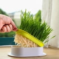 thumbnail image 3 of Hydroponic Cat Wheat Seedling Planter - ABS Material, Seedless, Separated Grid&Water Tray, Aids Digestion, Indoor Use, 3 of 3