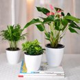 thumbnail image 2 of ziyahi Flower Pot Self Watering Automatic Absorption Container Plastic Plant Planter Garden Home Decor, 180, 2 of 8