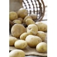 thumbnail image 1 of Potato Yukon Gold, 1 of 1