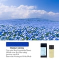 thumbnail image 1 of Vadktai Essential Oil, Car Air Freshener, Perfume Diffuser Bottle Aromatherapy Fragrance, 1 of 2