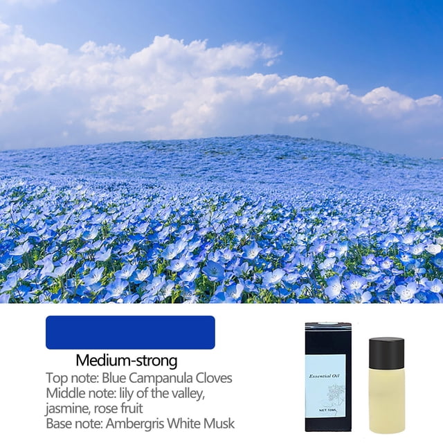 Vadktai Essential Oil, Car Air Freshener, Perfume Diffuser Bottle Aromatherapy Fragrance