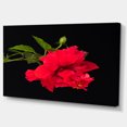 thumbnail image 2 of Bright Red Hibiscus on Black - Large Floral Canvas Art Print, 2 of 3