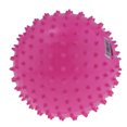 thumbnail image 1 of Balles de Massage de Yoga Roses de 9 Pieds', Balle Gonflable Sensorielle pour Relâcher le Stress, 1 of 8