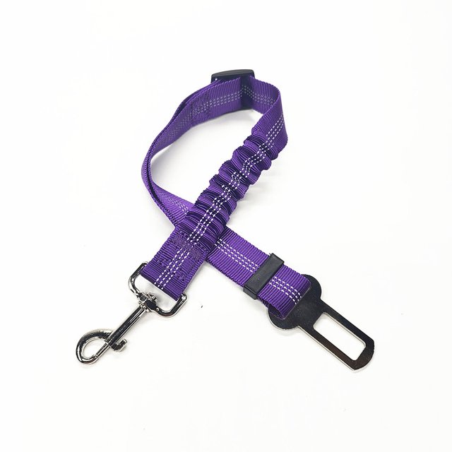 Youkk Chien Laisse Harnais de Sécurité Cordon Réfléchissant Double Face Exécution Longue Durée Boucle Résilience Réglable Violet