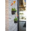 thumbnail image 4 of CUBE RAIL PLNTR BL - FRENCH, 4 of 9