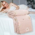 thumbnail image 1 of CUITING Lightweight Summer Quilt Queen Size Quilted Washed Cotton Conditioner Napping Quilt For Kids Adult Skin-Friendly, 1 of 5