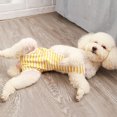 thumbnail image 4 of Diaper Dog Couche pour Chien Réutilisable à Rayures Créatives Mode pour Animal Culotte Hygiénique, 4 of 10