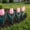Pink, variant on Plastic Garden Edging, 6 Pack Flower Bed Border Fence for Pathways Yard